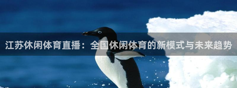 江苏休闲体育直播：全国休闲体育的新模式与未来趋势