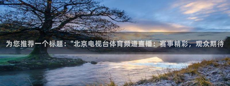 为您推荐一个标题：\