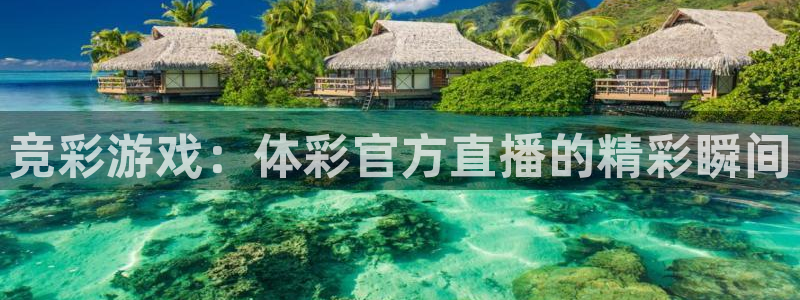 竞彩游戏：体彩官方直播的精彩瞬间