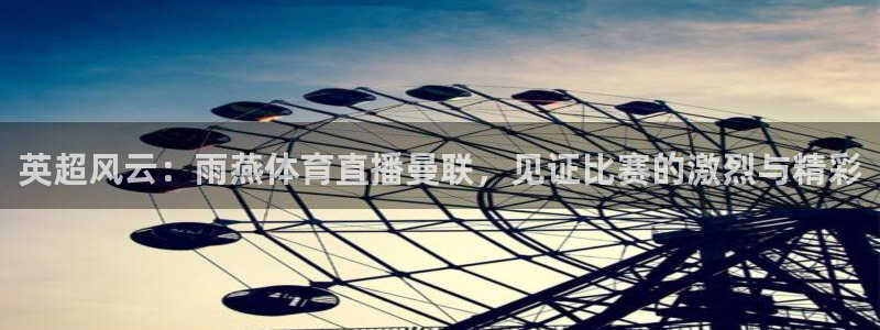 英超风云：雨燕体育直播曼联，见证比赛的激烈与精彩